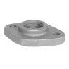 Raccord fileté Bride ovale avec trous en fonte malléable