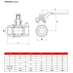 Dimensions vanne poignée homme mort