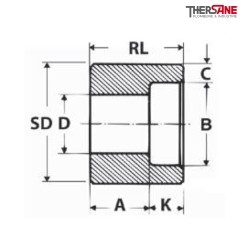Réduction Série 3000 acier A105N SW mâle - femelle