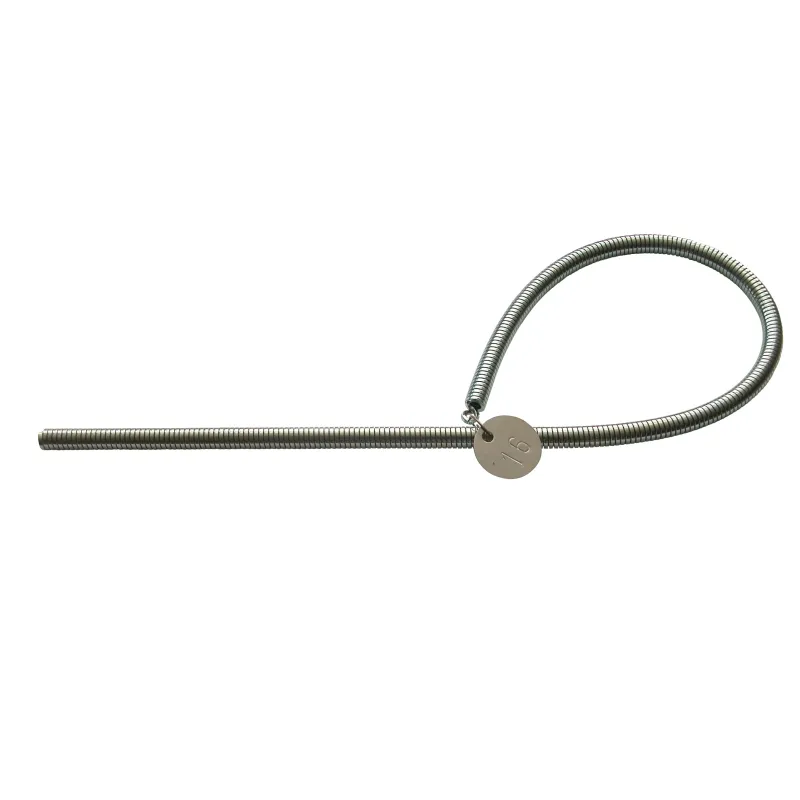 Ressort de cintrage intérieur