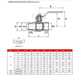 DIMENSIONS MODELES MALE - FEMELLE ( en mm )