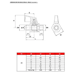 DIMENSIONS MODELE MALE - MALE ( en mm ) 690