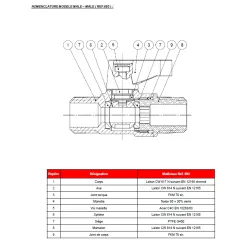 NOMENCLATURE MODELE MALE – MALE ( REF.693 )