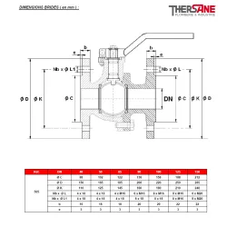 DIMENSIONS BRIDES ( en mm ) 505