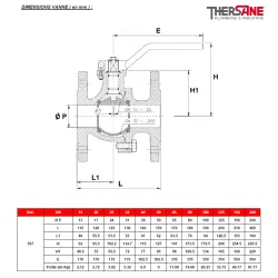 DIMENSIONS VANNE ( en mm ) 507