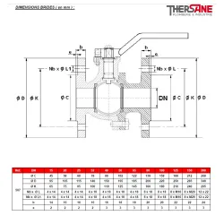 DIMENSIONS BRIDES ( en mm ) 507