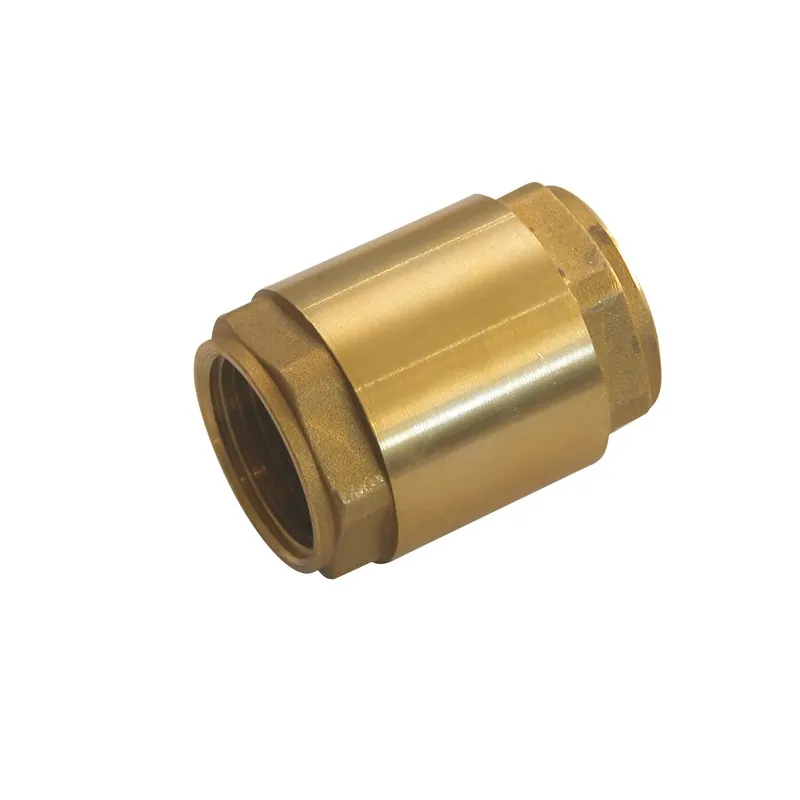 Clapet de non-retour série 307 toutes positions double guidage