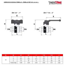 DIMENSIONS MODELE FEMELLE – FEMELLE REF.323
