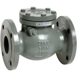 Clapet de non-retour simple battant fonte en GJL-250