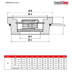 DIMENSIONS ( en mm ) 387