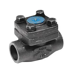 Clapet de non-retour à bille acier forgé A105N avec ressort chapeau boulonné