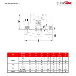 DIMENSIONS ( en mm ) 318 319