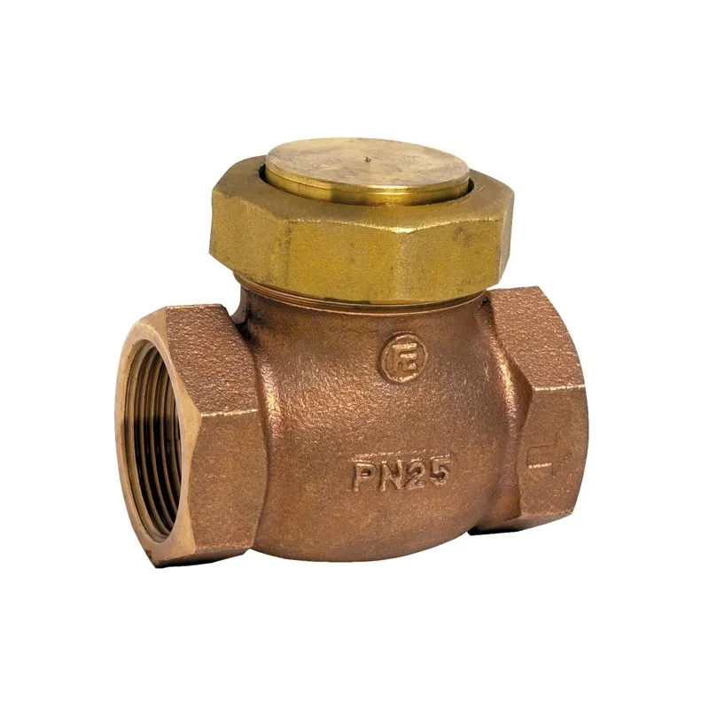 Clapet de non-retour à levée verticale bronze à obturateur inox ASTM A182 F316L