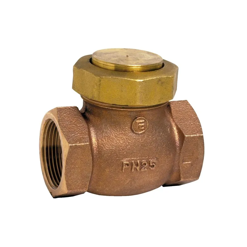 Clapet de non-retour à levée verticale bronze à obturateur PTFE