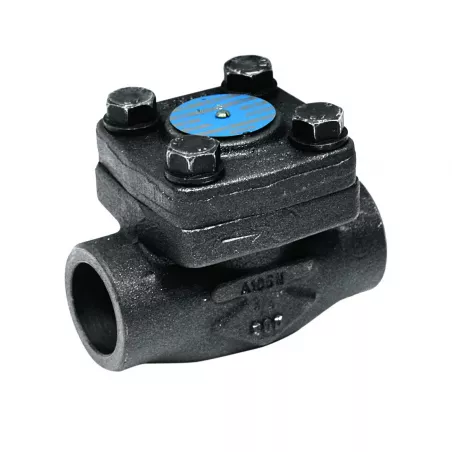 Clapet de non-retour à bille acier forgé A105N à levée verticale avec ressort chapeau boulonné