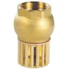 Clapet crépine de non-retour tout laiton titré CW617N femelle BSP