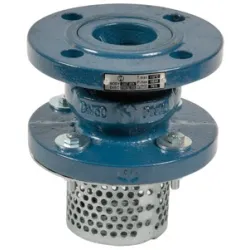 Clapet crépine de non-retour fonte en GJL-250 obturateur acier inox toutes positions simple guidage à brides