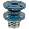 Clapet crépine de non-retour fonte en GJL-250 obturateur acier inox toutes positions simple guidage à brides