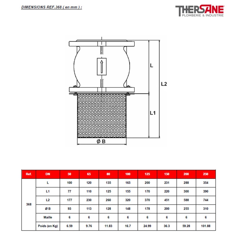 Clapet crepine de non-retour fonte en GJL-250 obturateur acier inox ...