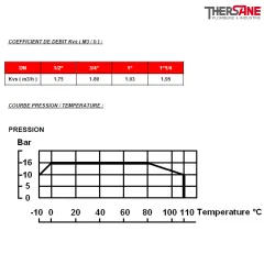 COEFFICIENT DE DEBIT Kvs ( M3-h ) et COURBE PRESSION-TEMPERATURE 619