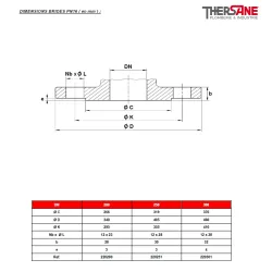DIMENSIONS BRIDES PN16 ( en mm ) 220