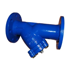 Filtre à tamis en Y fonte à brides avec revêtement époxy