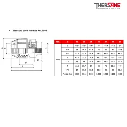 Raccord droit femelle Ref.1003