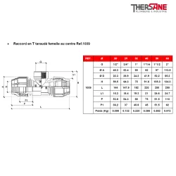 Raccord en T taraudé femelle au centre Ref.1009