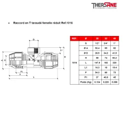 Raccord en T taraudé femelle réduit Ref.1016