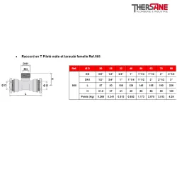 Raccord en T Fileté mâle et taraudé femelle Ref.865