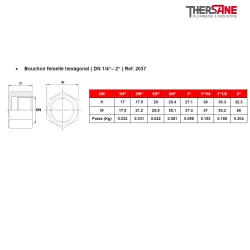 Bouchon femelle hexagonal ( DN 1/4“– 2“ ) Ref. 2037