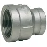 Raccord réduction femelle - femelle acier inox ASTM A351 CF8M