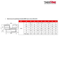 Demi-raccord symétrique femelle BSP sans verrou Ref.2416