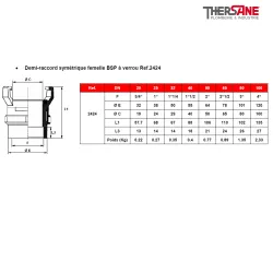 Demi-raccord symétrique femelle BSP à verrou Ref.2424