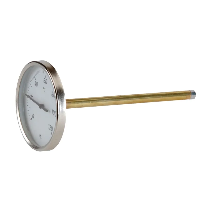 Thermomètre avec plongeur Longueur 200mm