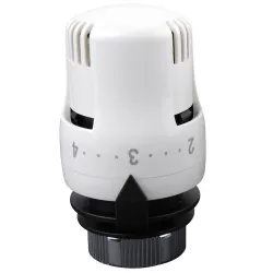 Kit pour radiateur avec tête thermostatique