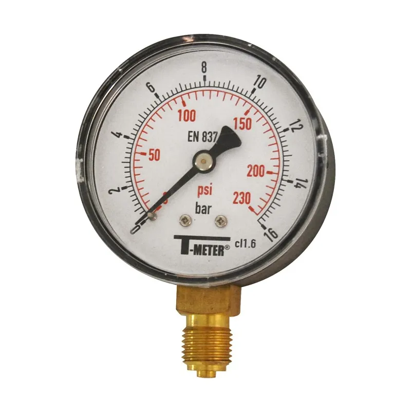Manomètre radial boîtier ABS Ø80