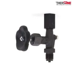 Robinet porte manomètre à pointeau BSP MF 1/2"