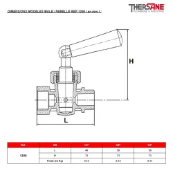 DIMENSIONS MODELES MALE - FEMELLE REF.1306 ( en mm )