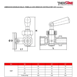 DIMENSIONS MODELES MALE - FEMELLE AVEC BRIDE DE CONTROLE REF.1307 ( en mm )