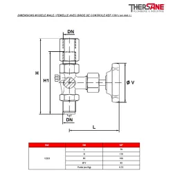 DIMENSIONS MODELE MALE - FEMELLE AVEC BRIDE DE CONTROLE REF.1391 ( en mm )