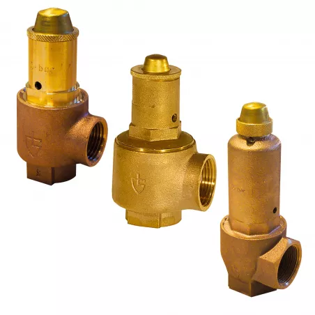 G series safety valves with bronze body