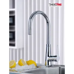 Mitigeur chromé cuisine THEWA TEL10