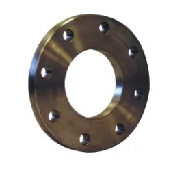 Bride plate à souder face droite sans portée de joint PN 40 type 01 A - P235GH