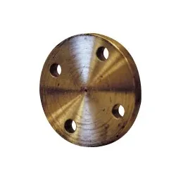 Brides pleine sans portée de joint type 05 A P235GH