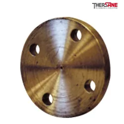 Brides pleine sans portée de joint type 05 A P235GH