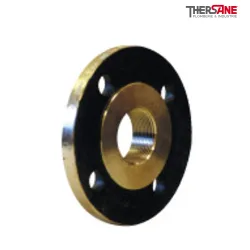 Bride taraudée face de joint surélevée dressée PN 16 - type 13 B - P245GH