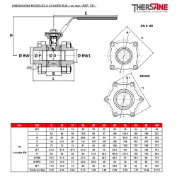 DIMENSIONS MODELES A SOUDER B.W. ( en mm ) REF. 741