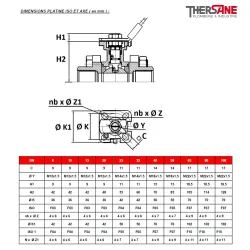 DIMENSIONS PLATINE ISO ET AXE ( en mm )