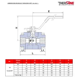 RBS 3 pièces acier forgé A105N class 800 DIMENSIONS MODELES TARAUDES NPT ( en mm ) 745  